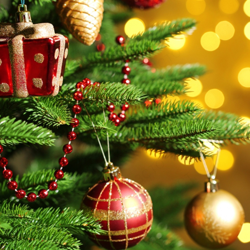 Поздравление председателя Законодательного Собрания Тверской области Сергея Голубева с Новым годом и Рождеством