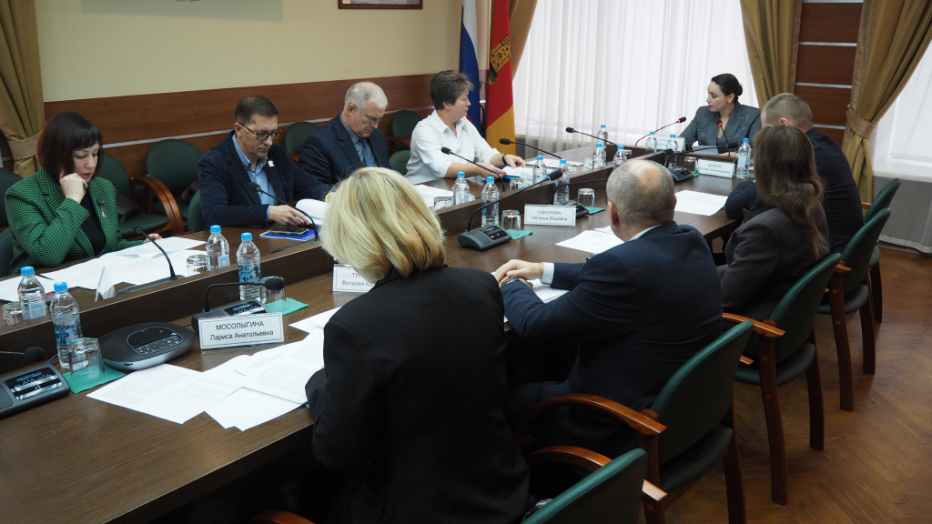 Состоялось заседание комитета по социальной политике 